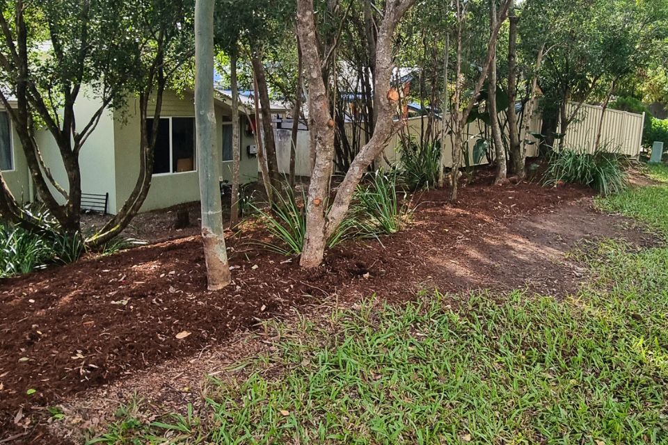 Backyard in Buderim after clean-up, open, tidy and easy to manage