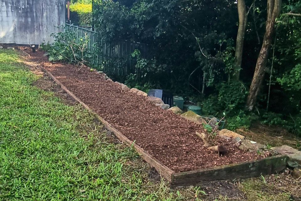 Low maintenance yard in Buderim after large garden clean-up