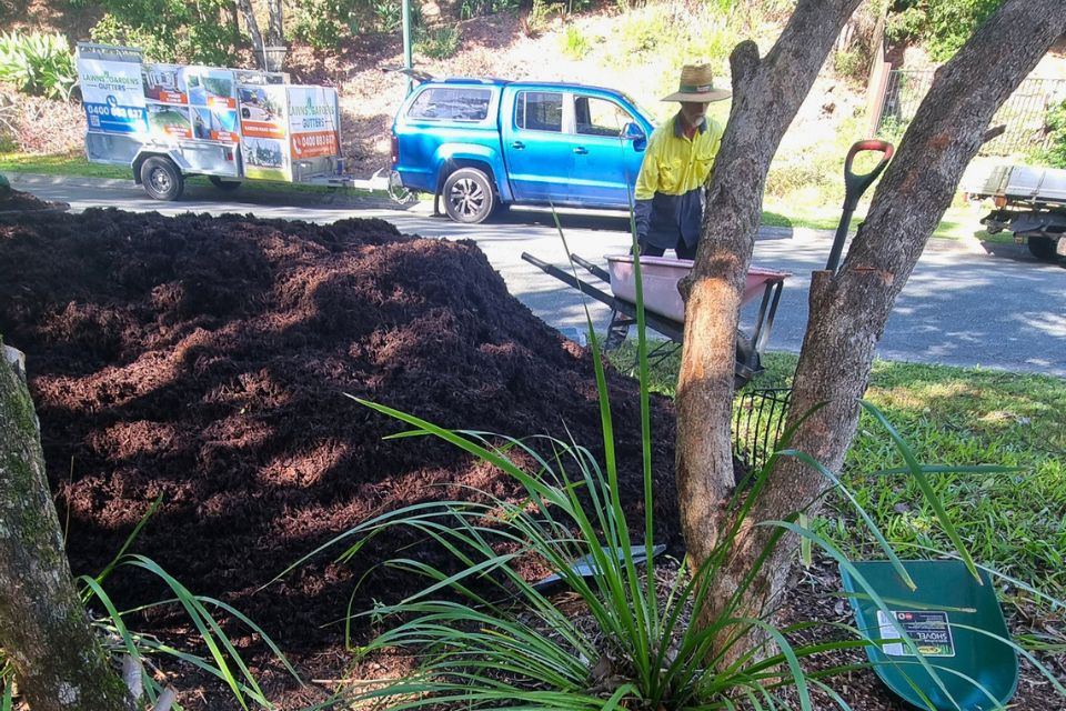 Garden clean-up in Buderim with beds cleared and ready for mulch