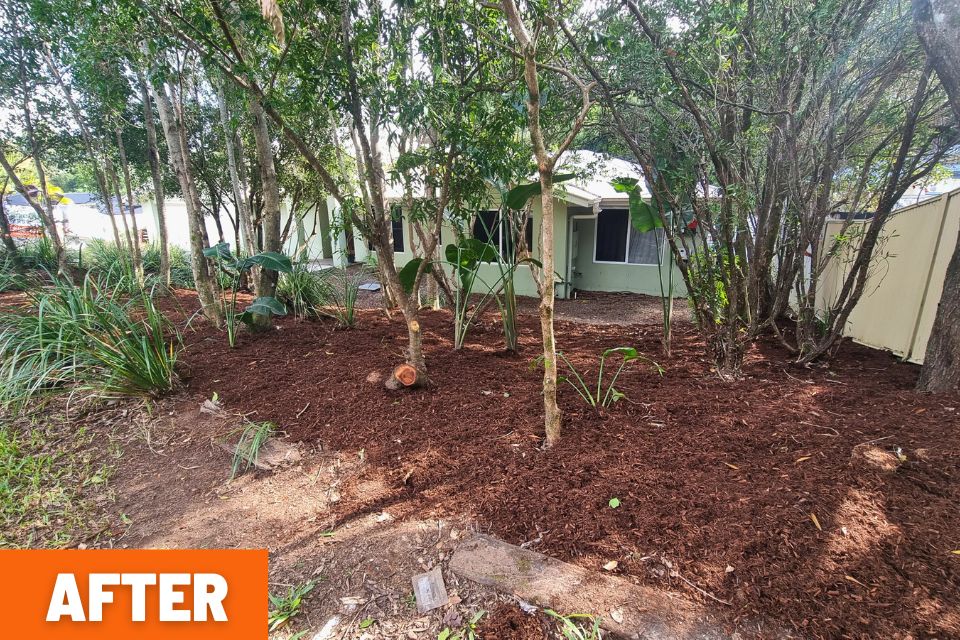 Clean low maintenance garden in Buderim after professional garden clean-up