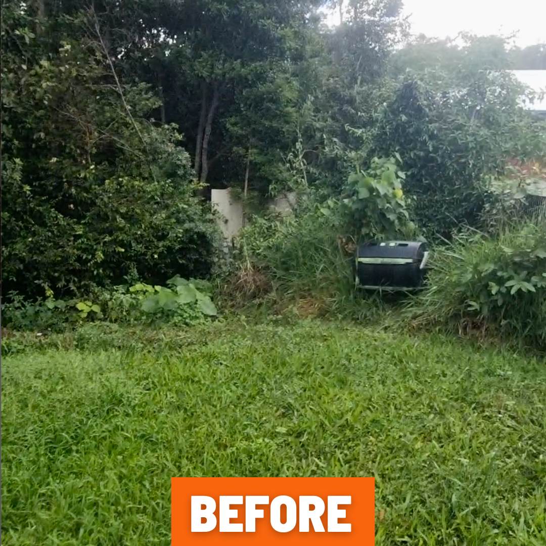 Backyard in Buderim overgrown with long grass, weeds, and fallen branches before clean-up