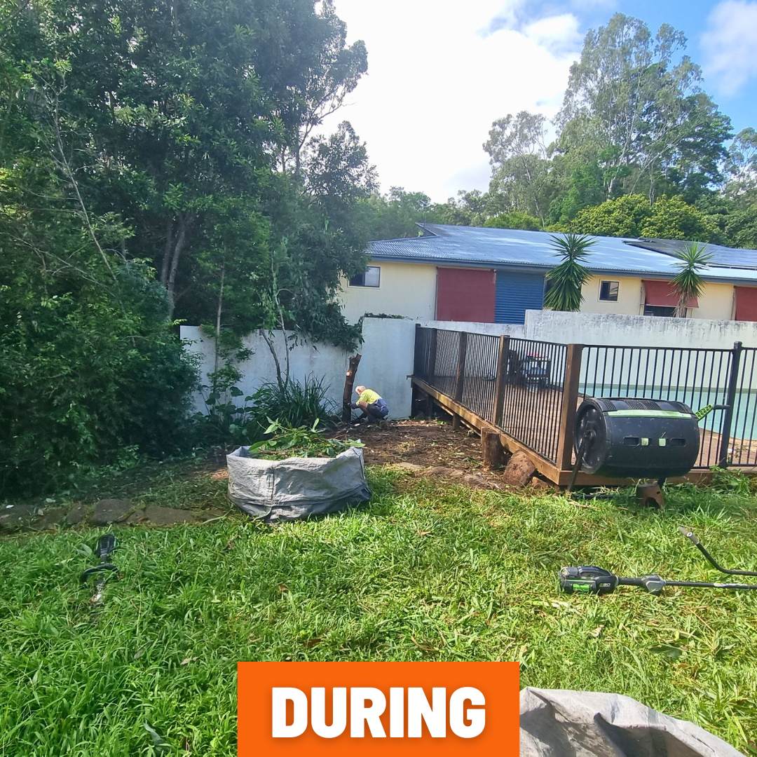 Bushy yard in Buderim before garden clean-up with thick undergrowth and vines