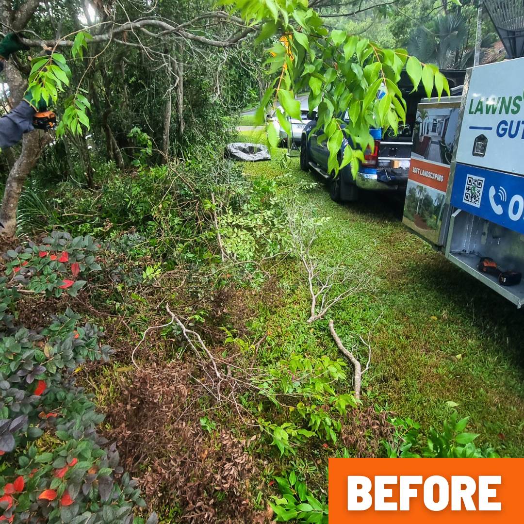 Backyard in Buderim overgrown with long grass, weeds, and fallen branches before clean-up
