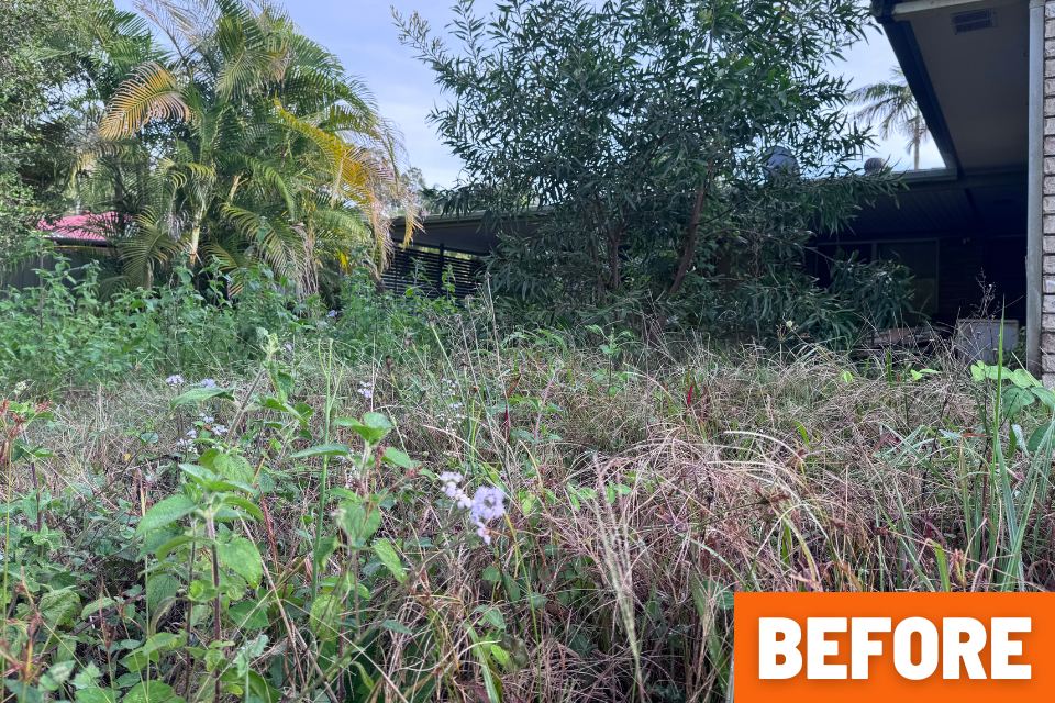 Overgrown backyard covered the entire patio before a major yard clean-up in Buderim