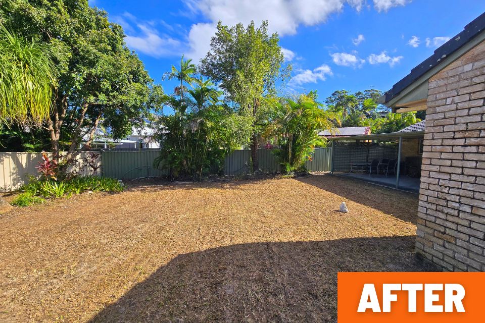 open backyard and patio after a major garden clean-up in Buderim