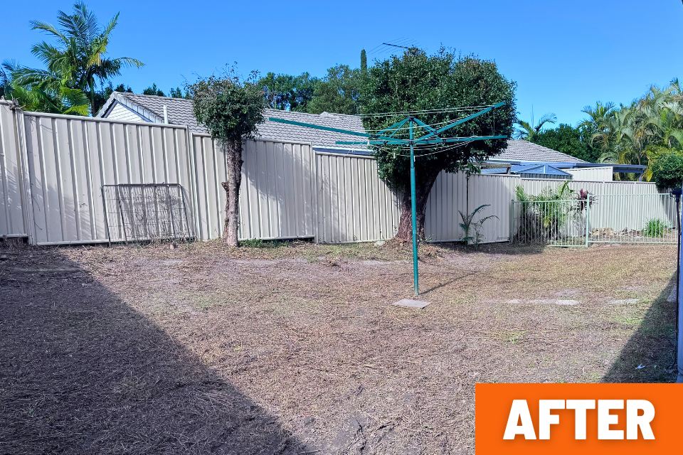 Backyard fence and ground shown after a major garden clean-up in Buderim.