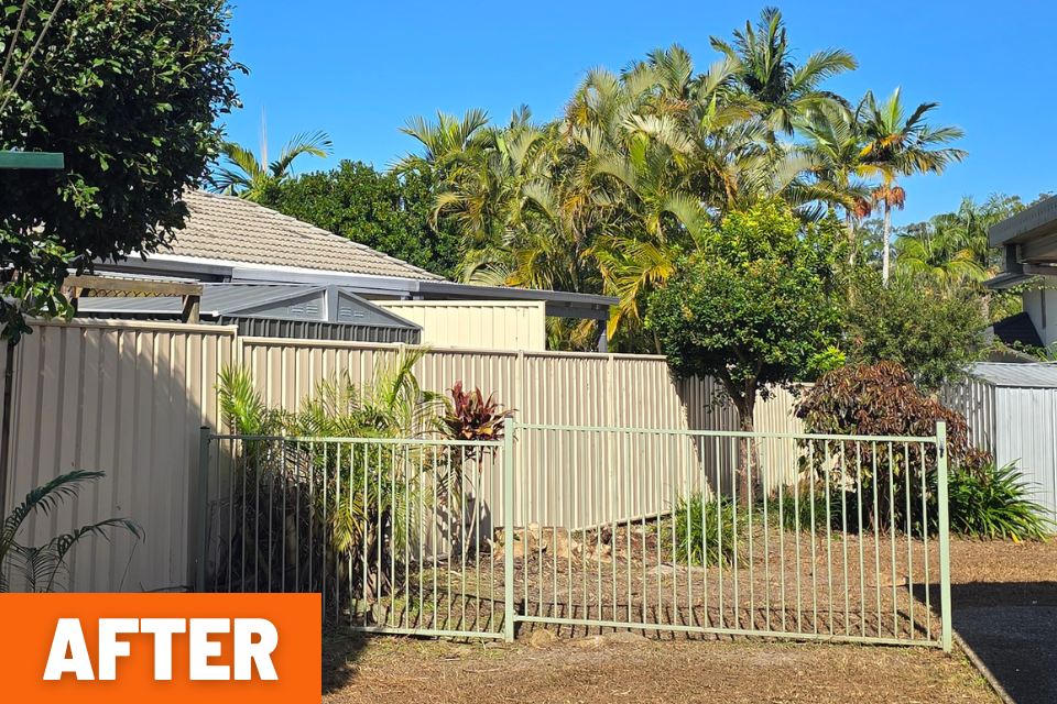 Side gate visible again after the Buderim property clean-up.