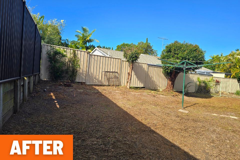 Backyard entry cleared and brought back under control after the Buderim garden clean-up.
