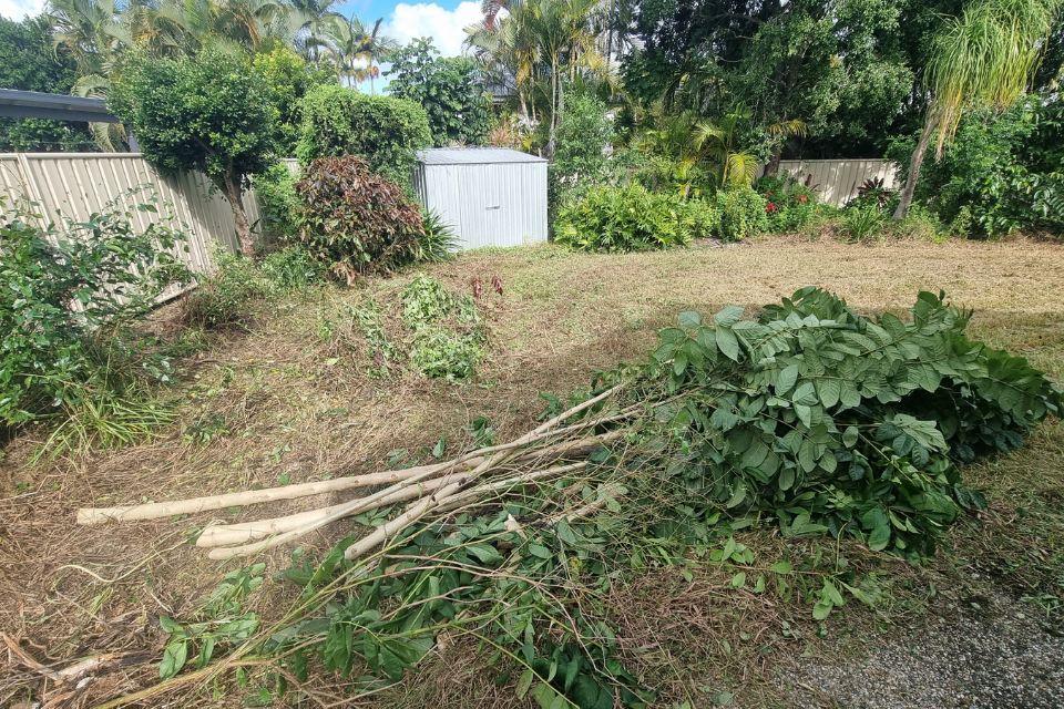 Cleared garden in Buderim prepared for mulch