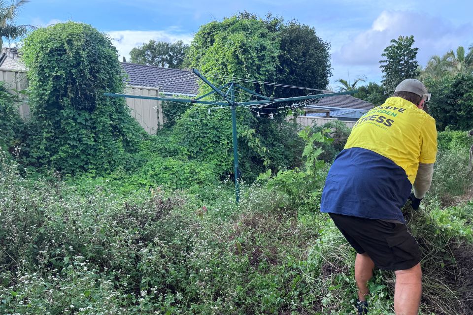 Garden clean-up in Buderim with beds cleared and ready for mulch