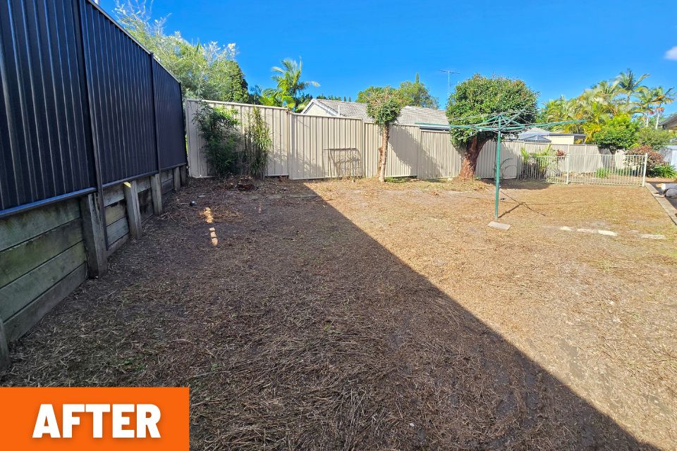 Open clean backyard after a massive yard clean-up in Buderim