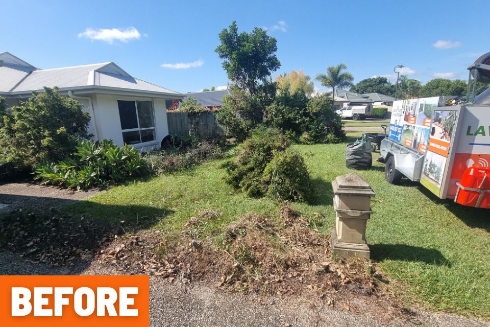 Garden shed revealed after clearing heavy overgrowth during a Buderim property clean-up
