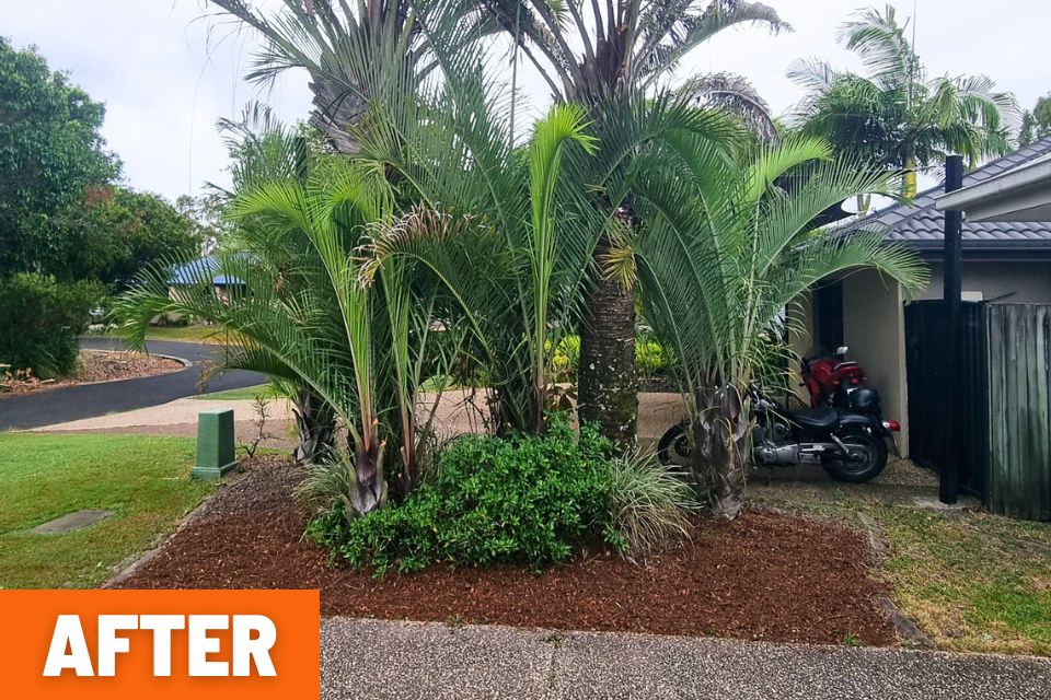 Cleared garden in Buderim prepared for mulch