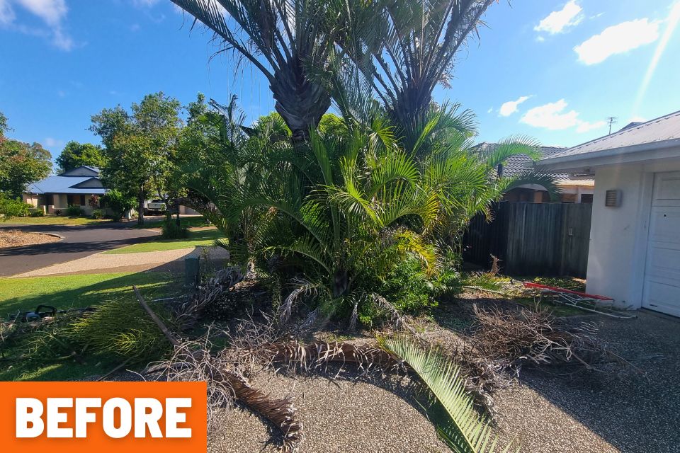 Garden clean-up in Buderim with beds cleared and ready for mulch
