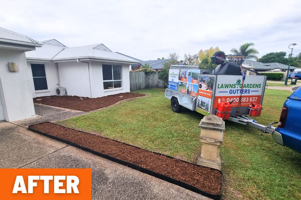 Garden shed almost hidden by overgrown weeds and vines before the Buderim backyard clean-up.