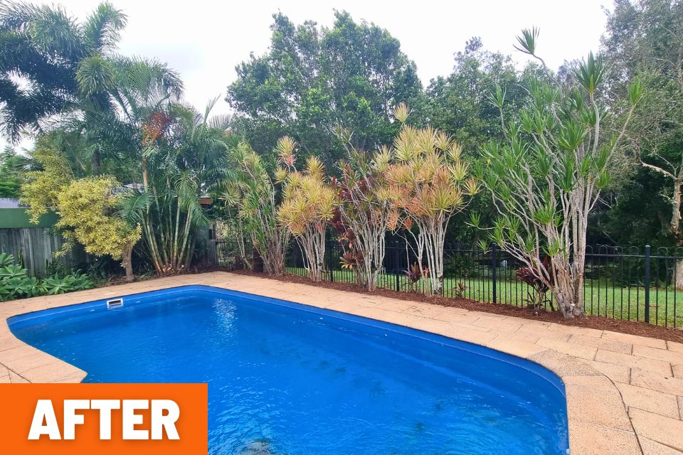 Overgrown backyard before a major garden clean-up in Buderim