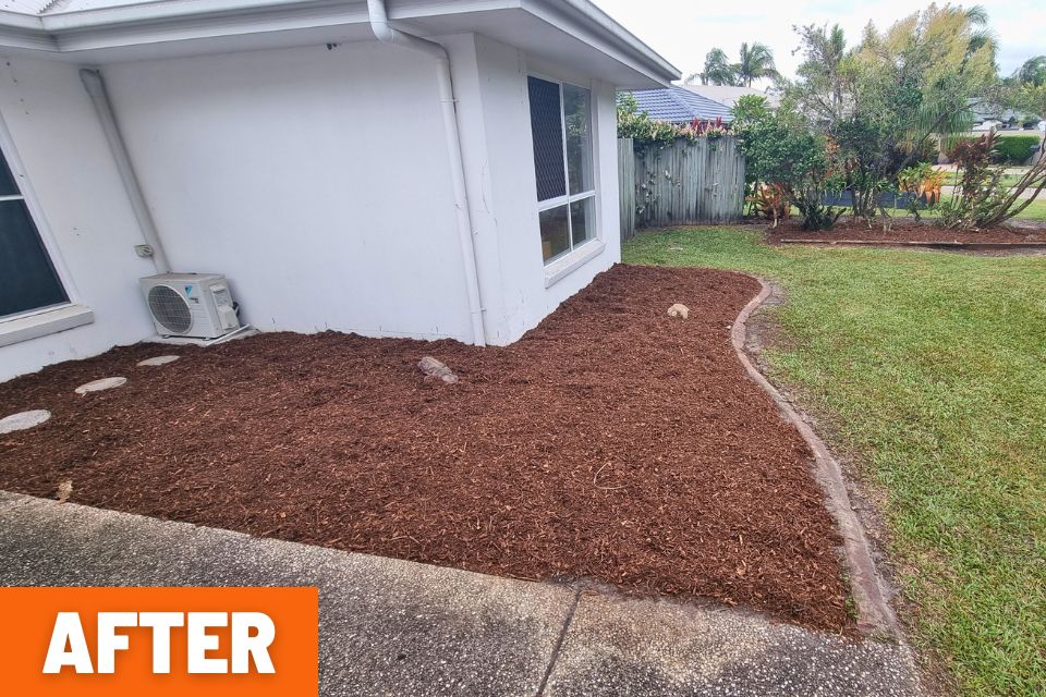 Long grass and dense weeds throughout an overgrown Buderim backyard before the garden clean-up