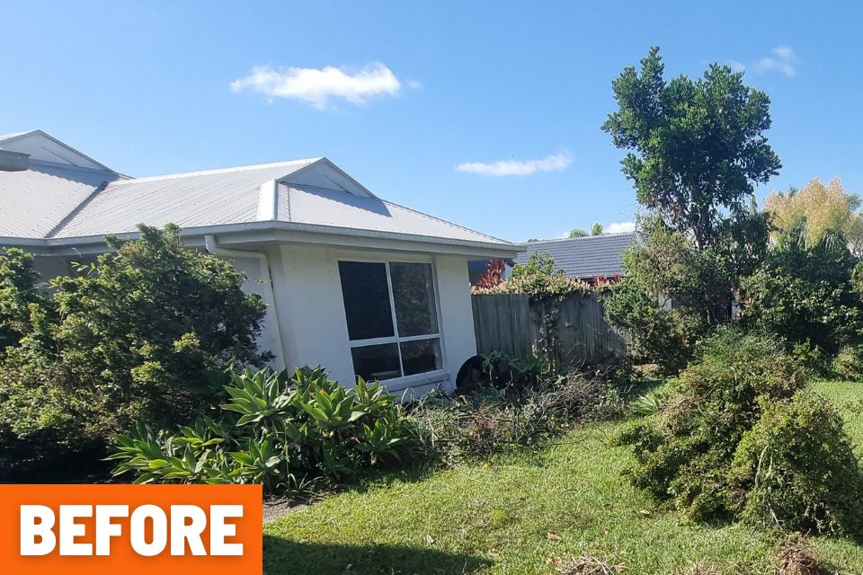 Overgrown backyard before a major garden clean-up in Buderim, with long grass, weeds and overgrown vegetation