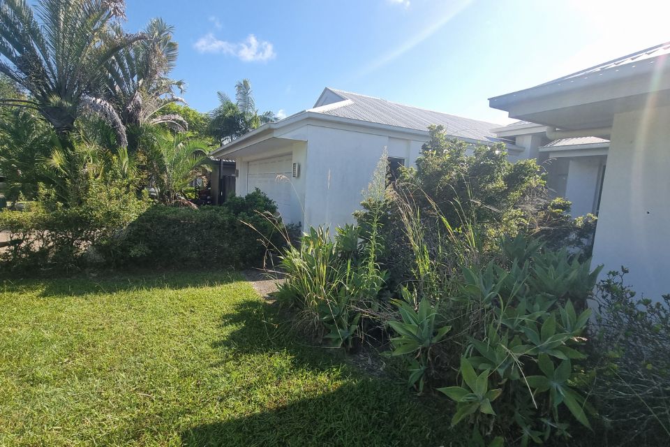 Heavy vine growth covering the fence and trees before clearing work in Buderim.