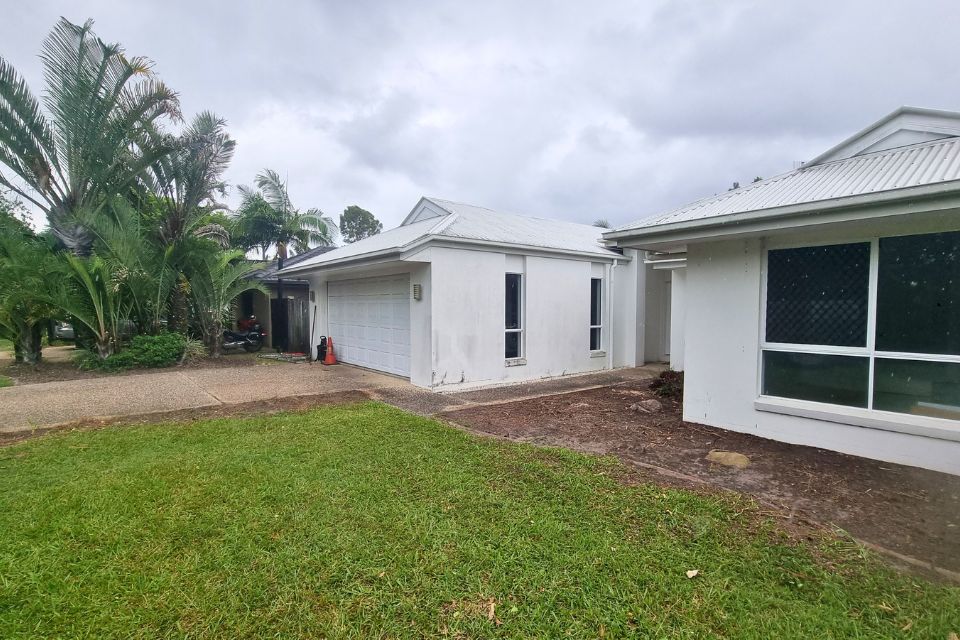 Long grass and dense weeds throughout an overgrown Buderim backyard before the garden clean-up