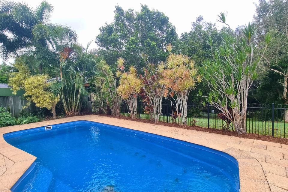 Side gate completely covered by vines before the Buderim property clean-up