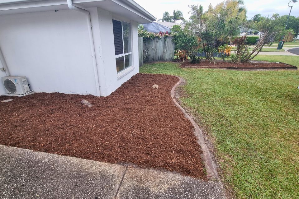 House wall cleared of weeds and vines after the Buderim backyard clean-up
