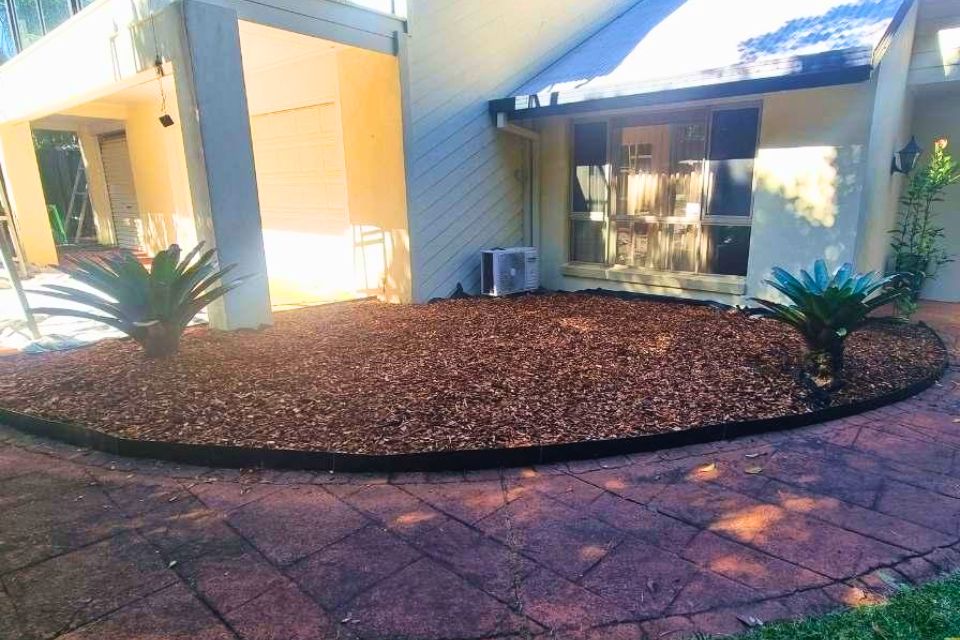 case study garden cleanup in buderim with neat garden beds