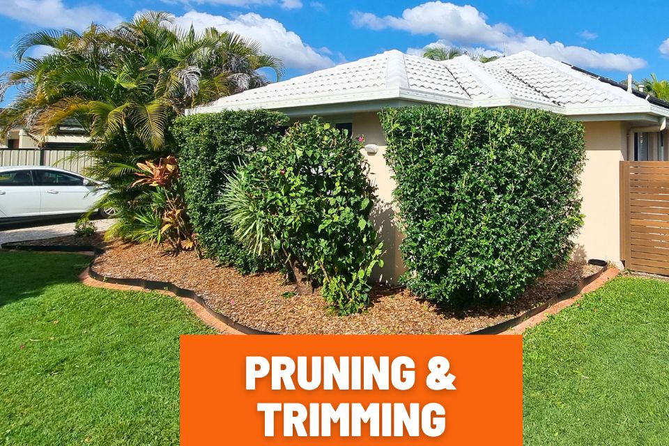 Pruned and trimmed garden in Mountain Creek