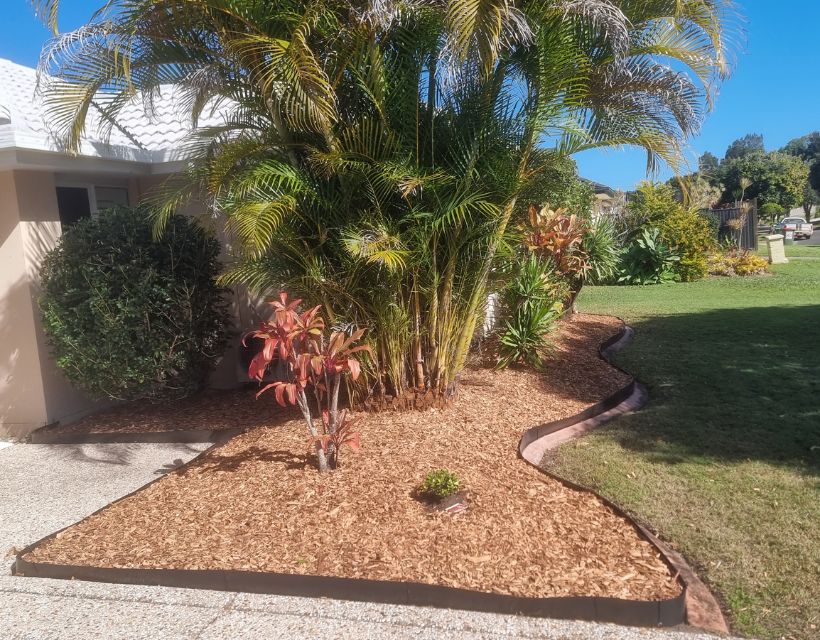 Low-maintenance courtyard after an overgrown garden clean-up