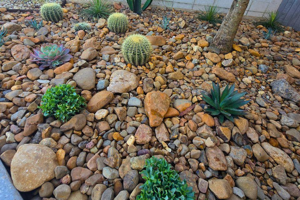 Bokarina feature garden with Mary River rock, cacti, succulents and agaves