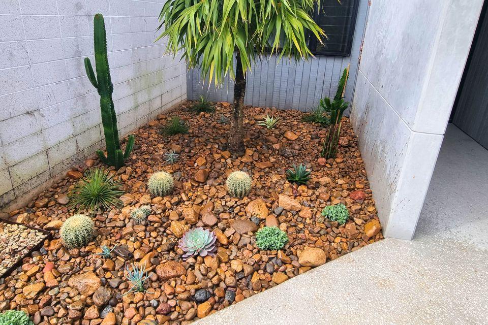 Low-maintenance feature garden in Bokarina with Mary River decorative rocks, feature cactus, and succulents