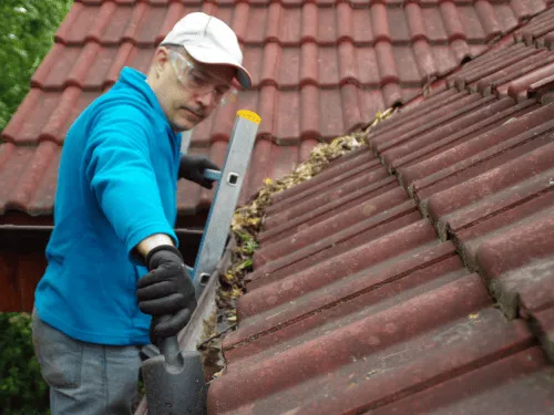 Gutter Cleaning in Lomita