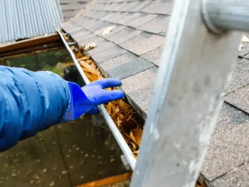 Torrance Gutter Cleaning