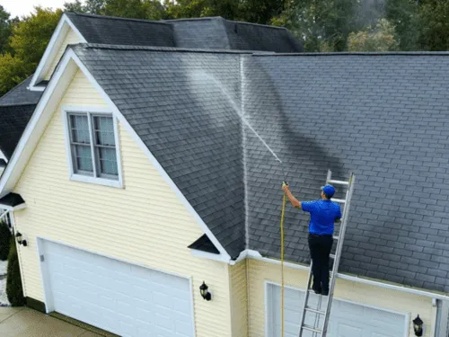 Torrance Roof Soft Washing