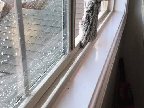 Screen Cleaning Lomita