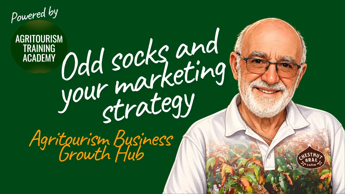 Odd socks and your marketing strategy