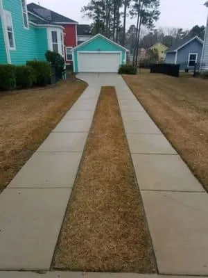 Soft Wash in Charleston