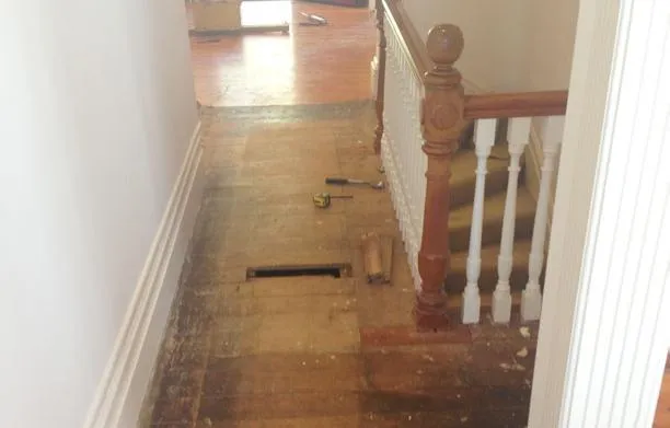 Flooring Contractor Hobsonville