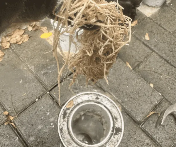  Blocked Drain Clearing