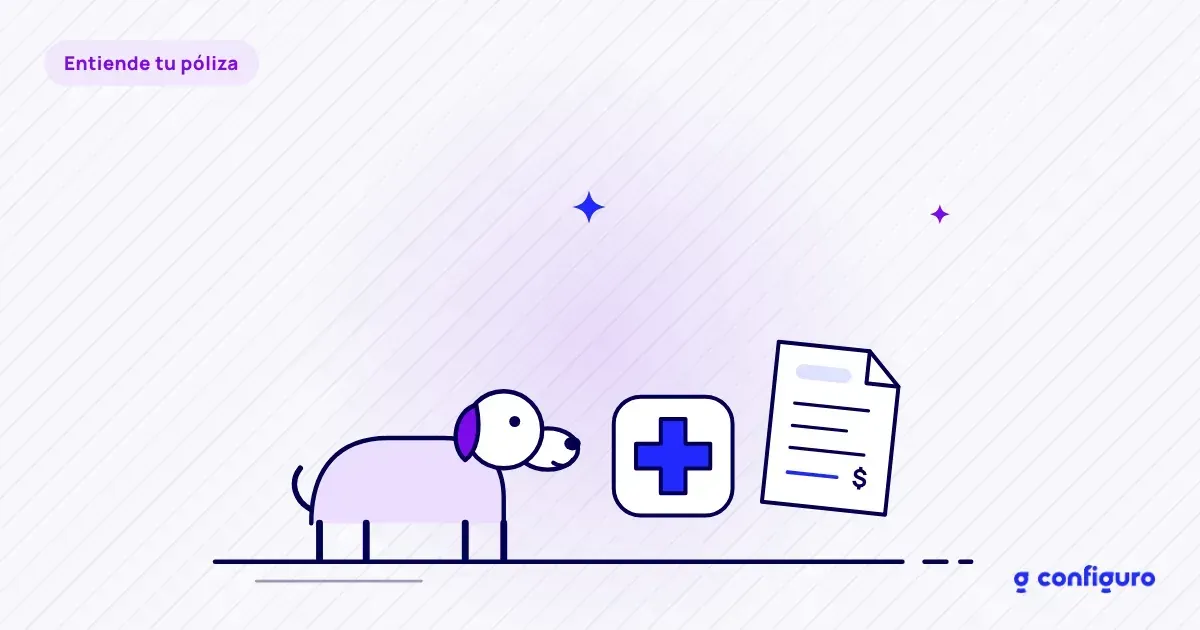 Seguro para mascotas en Colombia: reembolso o plan de salud, y cuándo es obligatorio