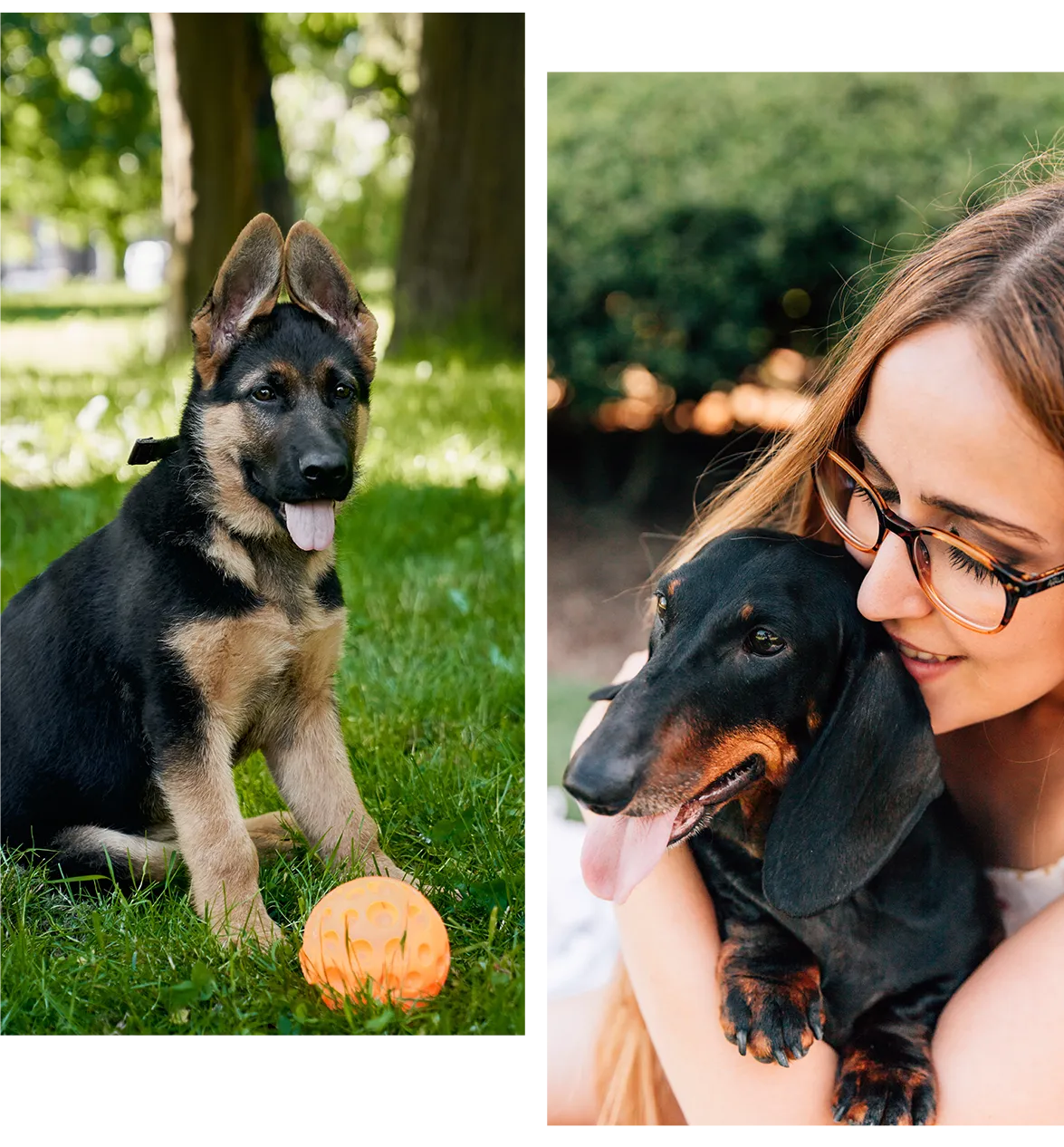 Dog playing safely in yard with invisible dog fence; Woman hugging her dog