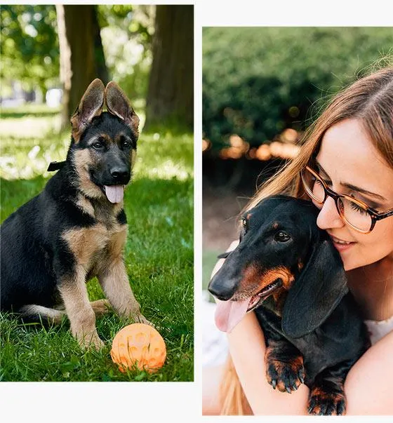 Woman enjoying her new Pet Stop dog fence