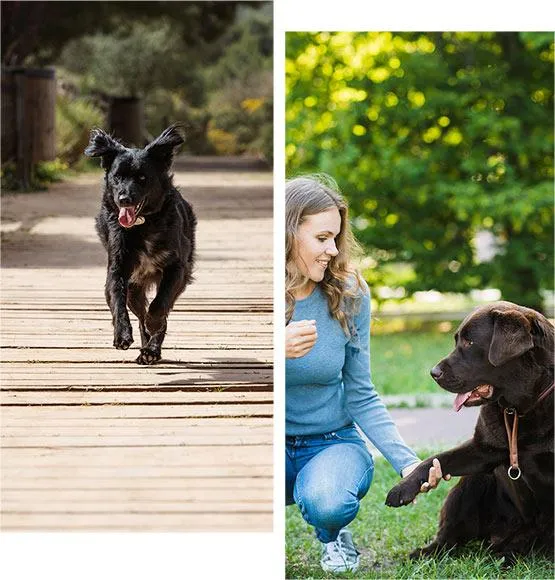 Woman enjoying her new Pet Stop dog fence