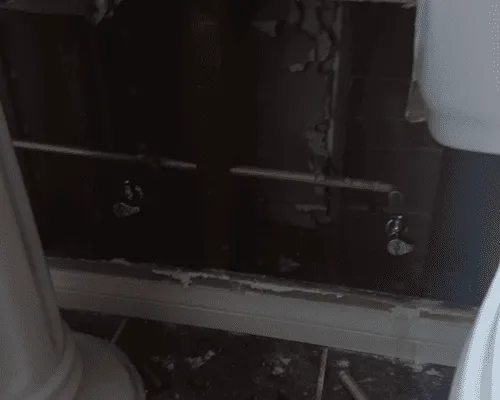 San Bernardino Drain Cleaning & Rooter Service