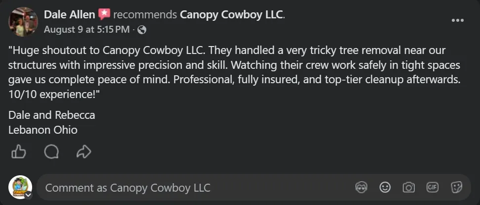 5 star review