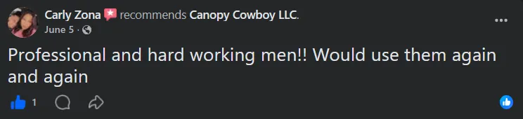 positive review from Carly Zona