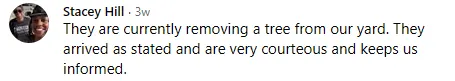 5 star review staey hill