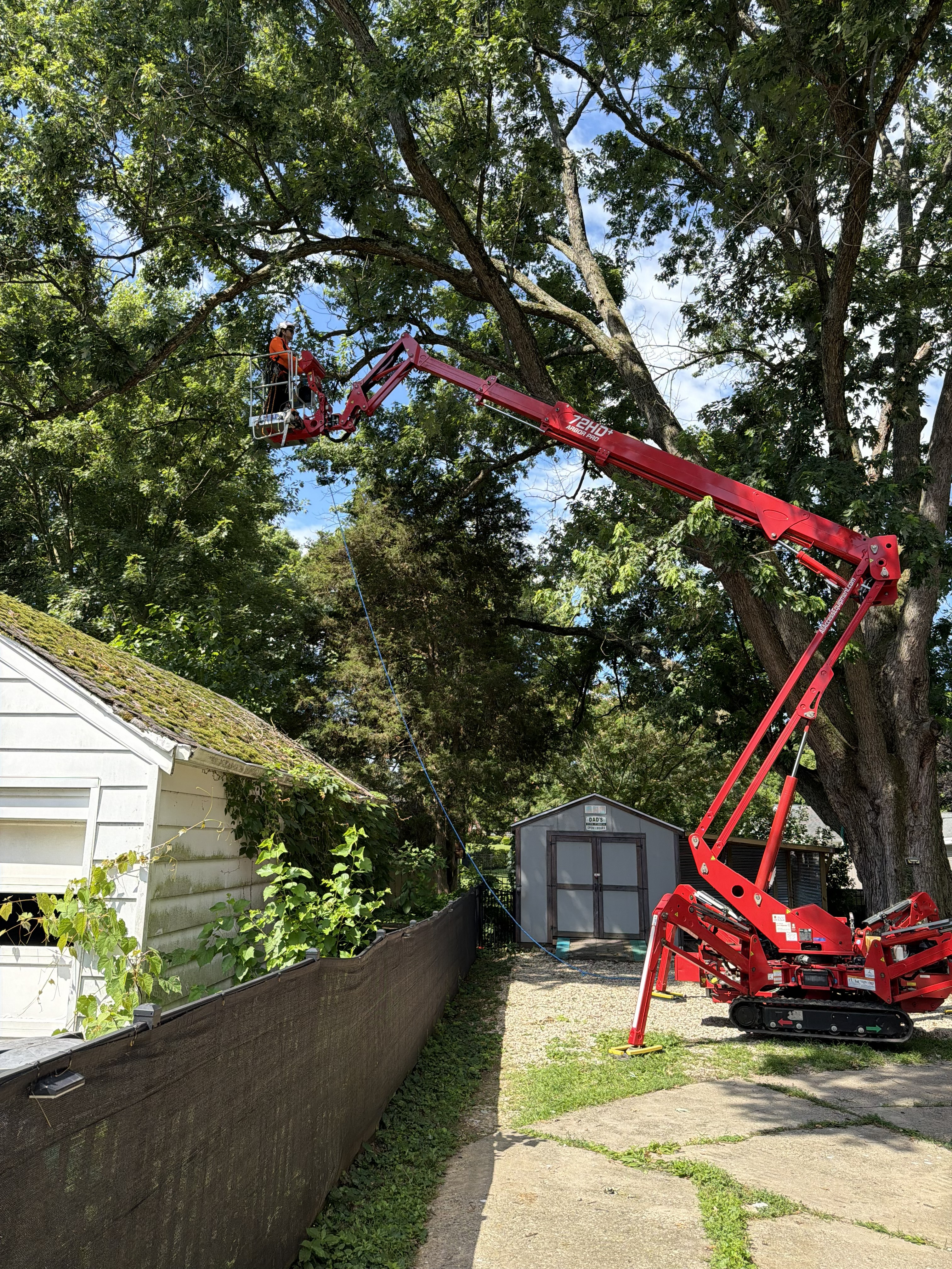 spider lift in action 1