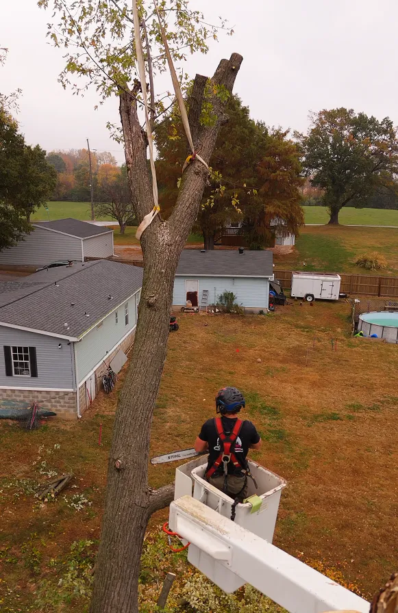 Rigged Removal McHatton