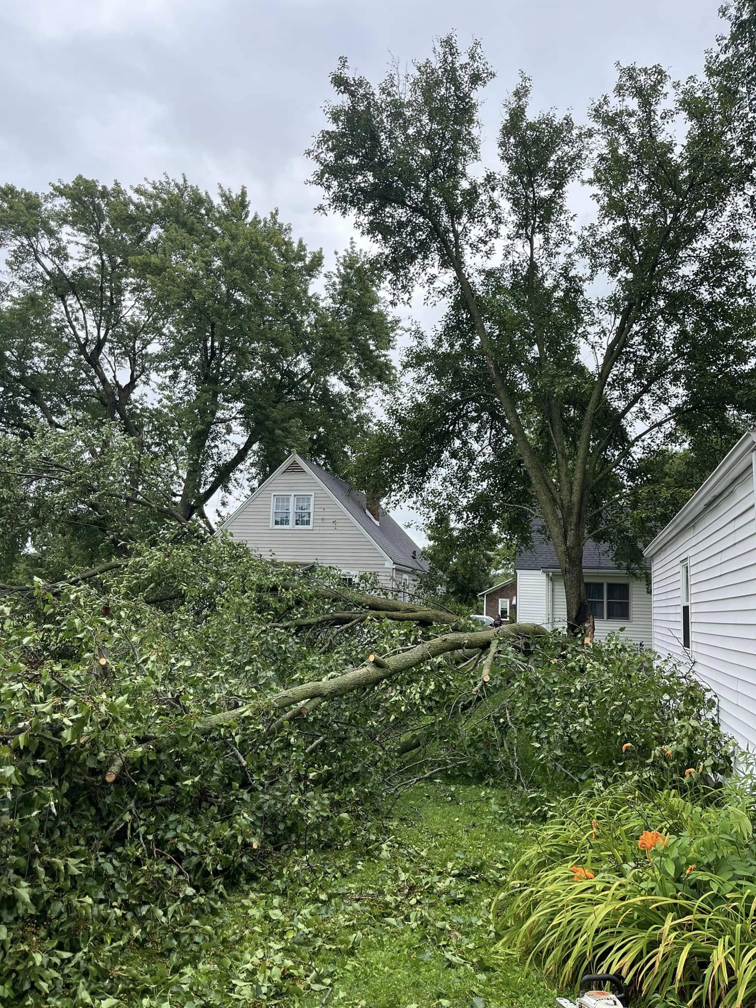 Storm Damage Removal McHatton